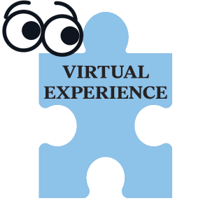 sophia high virtual experience